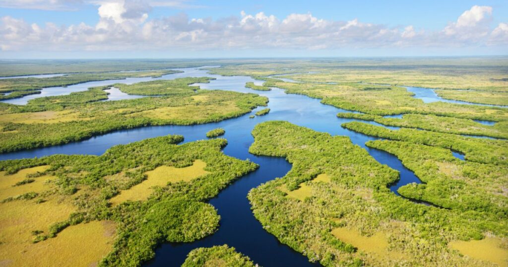 Everglades in Florida