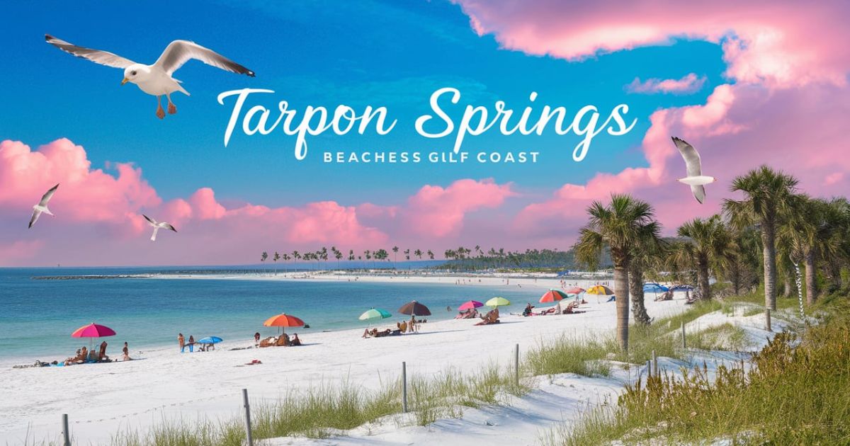 Tarpon Springs Beaches