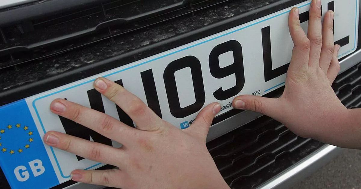 Number Plates and Privacy Concerns: How Much Information Should Be Publicly Available?